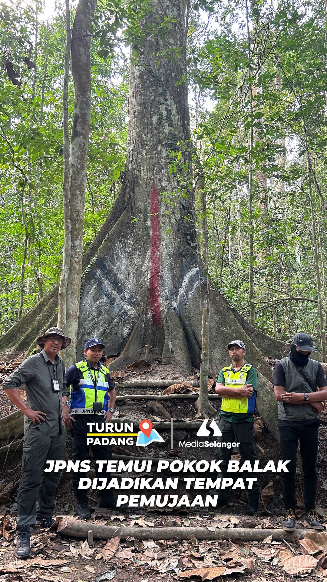 JPNS temui pokok balak hutan Ulu Gombak dipercayai dijadikan tempat pemujaan