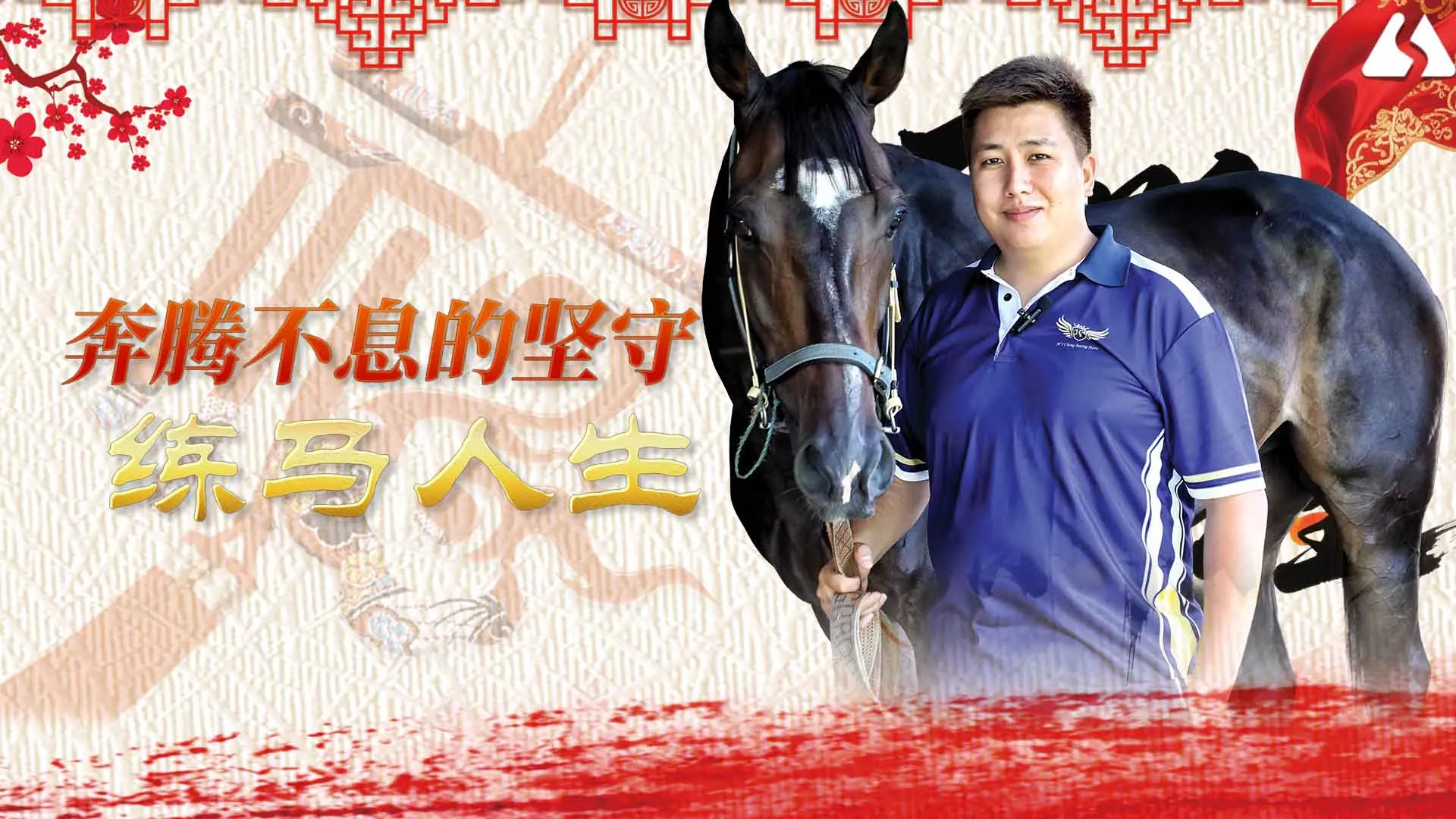 🐴马跃新程🐴马场里的练马人生