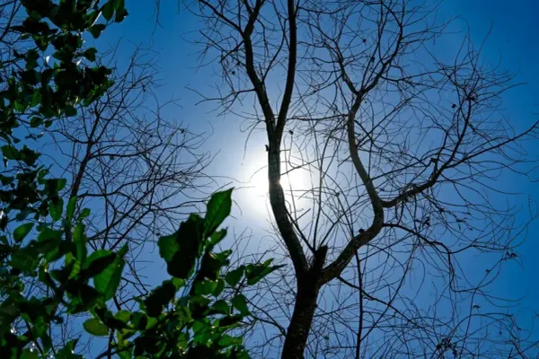 கடும் வெயில்: வெளி நடவடிக்கைகளைத் தவிருங்கள்; வெப்பப் பக்கவாதத்தைத் தடுக்க நீர்ச்சத்துடன் இருங்கள்