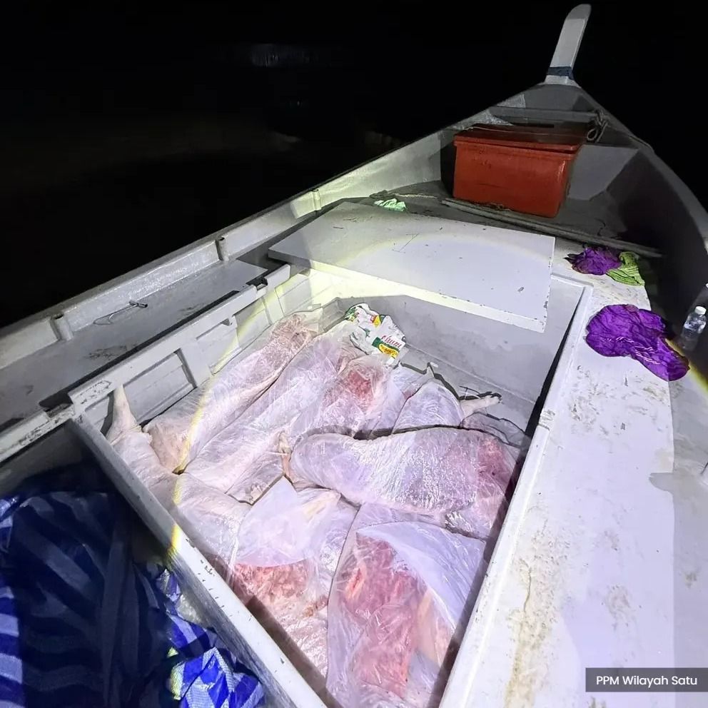 从泰国走私7000公斤猪肉  水警捕7本地男助查