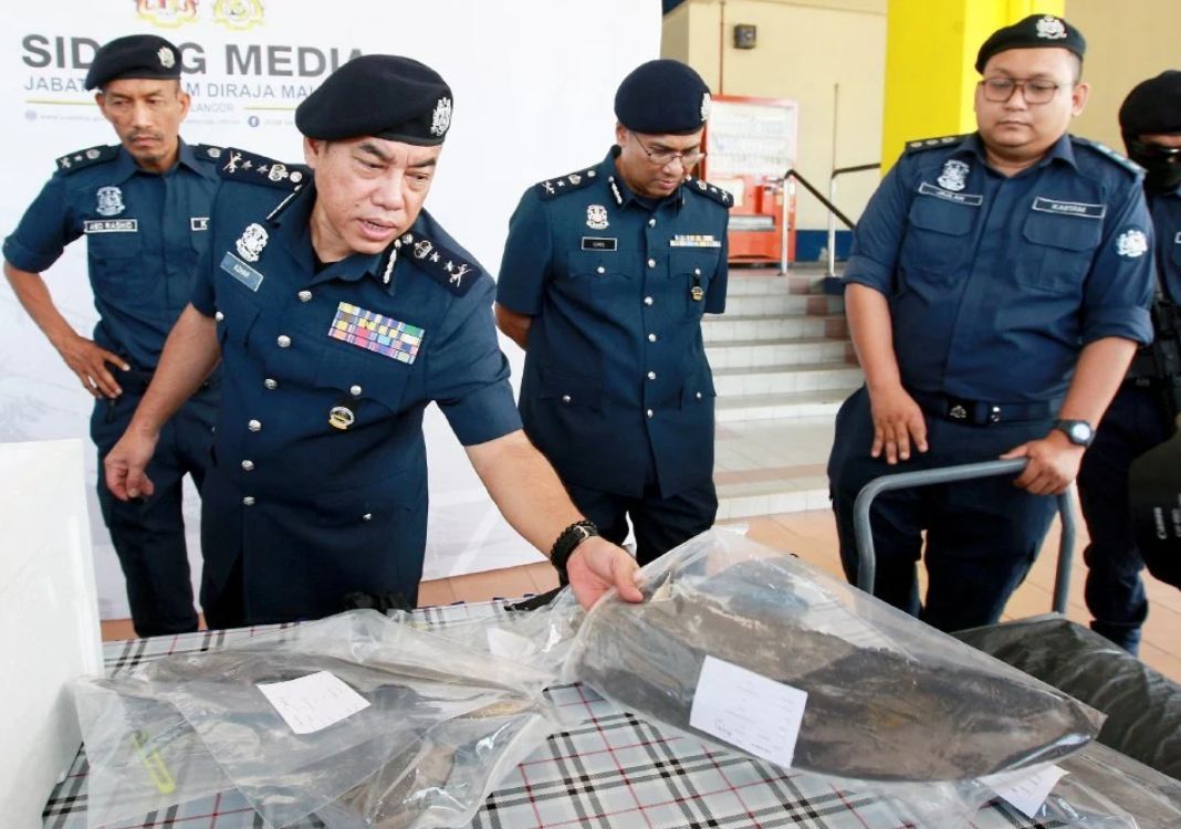 走私35.6吨干鱼翅来马 关税局：市值820万令吉