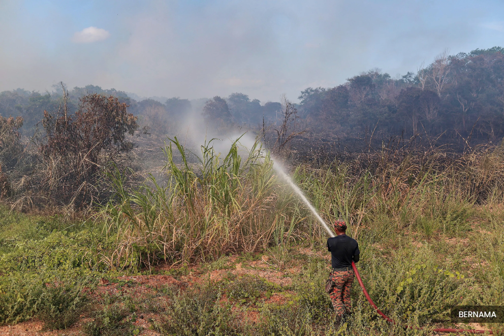 Fire Dept records sharp rise in forest, bushfires nationwide