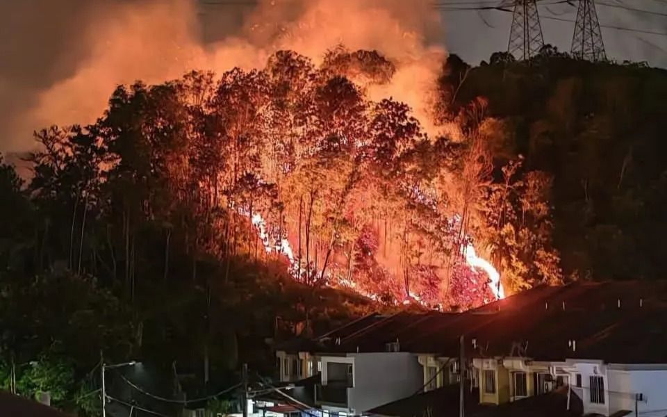 高峰花园发生树林着火  消拯员迅速扑灭火势
