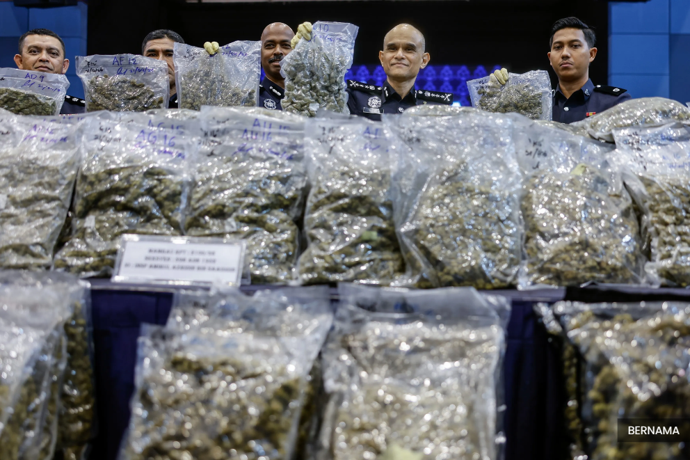 Two held over RM14.7m ganja bust, police cripple international syndicates