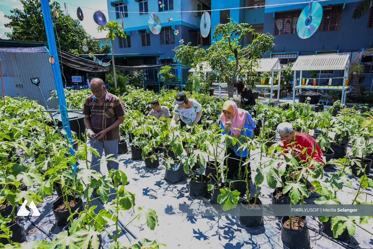 Komuniti Flat Ikan Sri Serdang ubah semak samun jadi kebun hijau komuniti