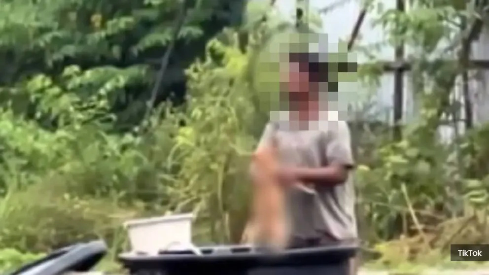 虐狗视频TikTok疯传  警方迅速在莎阿南工地抓人