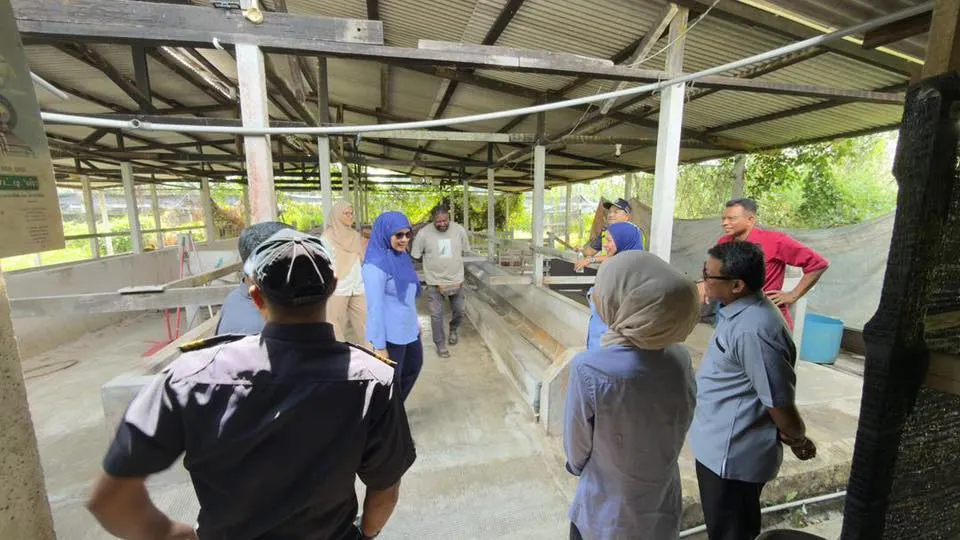 Kandang lembu bawah jambatan lebuh raya, MPSepang keluar notis kacau ganggu