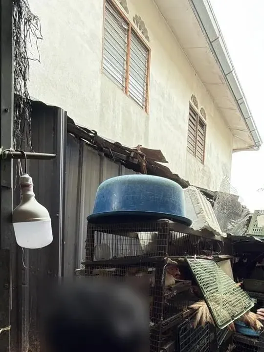 MPKL sita premis jual ayam tanpa lesen