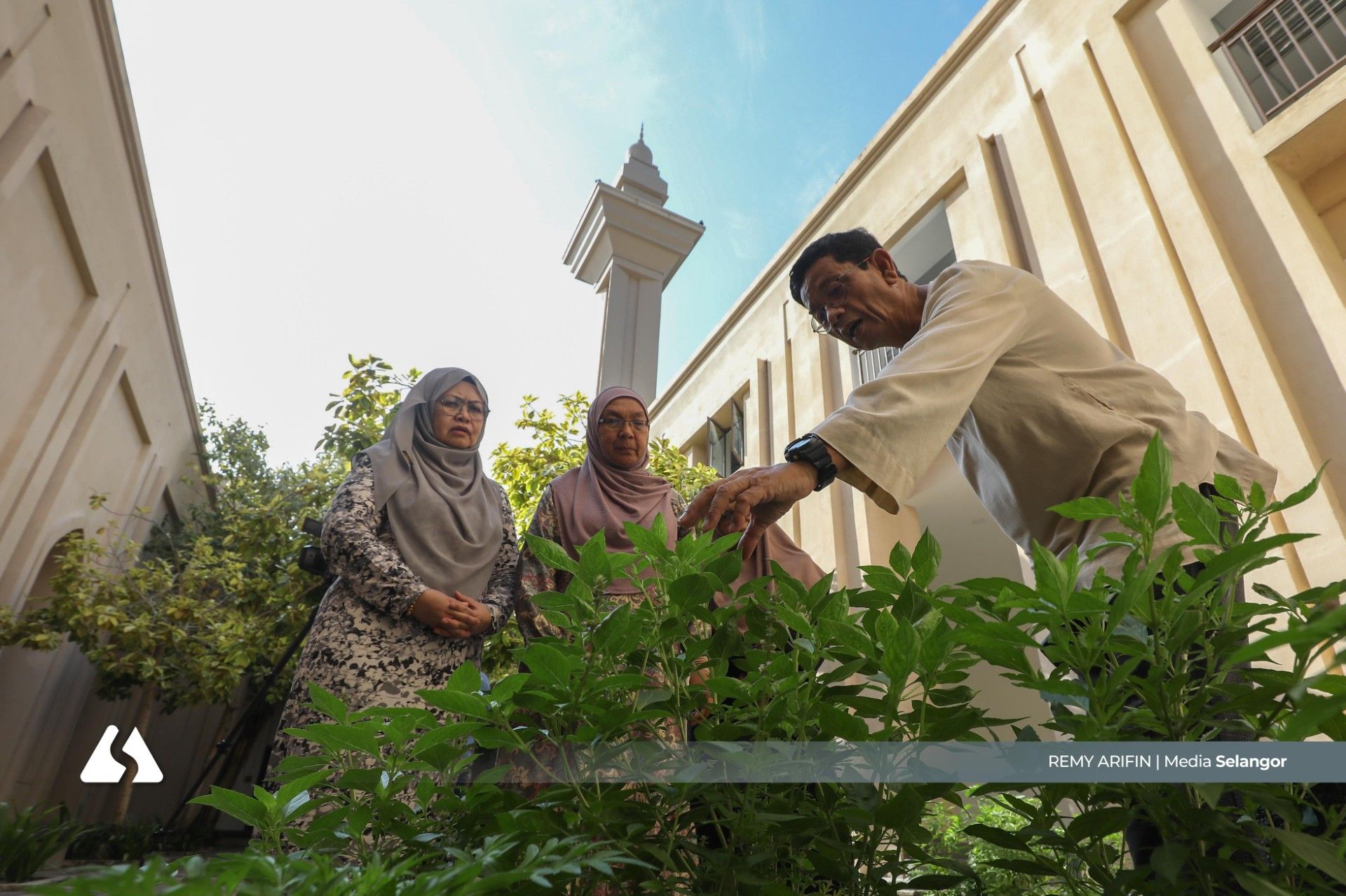 Laman mini tanaman di masjid tarik minat kariah berkebun di rumah