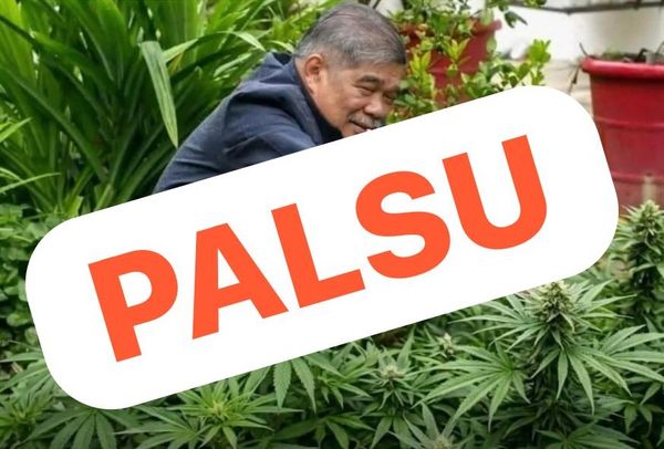 Imej tular palsu galak tanam ganja, pejabat Mohamad Sabu rujuk SKMM