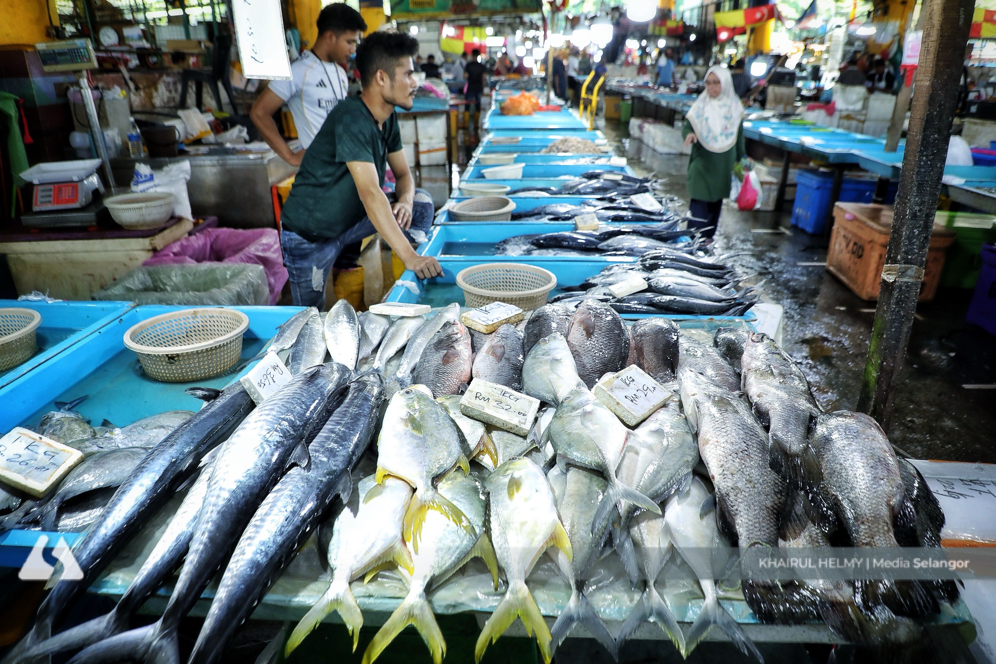 More frequent JER programmes needed if food supply crisis occurs