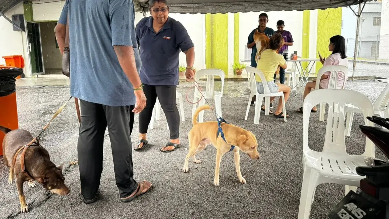 MBDK lesenkan 35 anjing peliharaan dalam program In-Situ di Klang