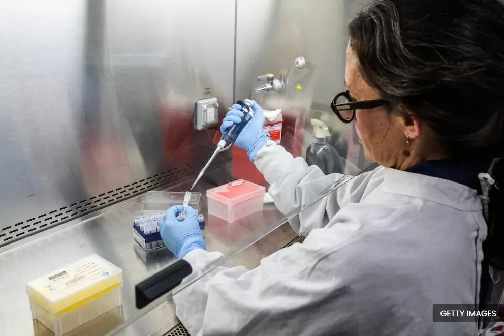 Andes strain of hantavirus difficult to spread — Expert