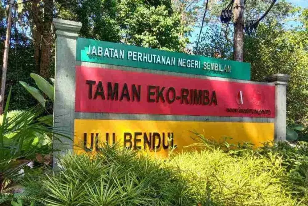 Kes kencing tikus, Taman Eko Rimba Ulu Bendul ditutup sementara