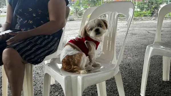 MBDK lesenkan 35 anjing peliharaan dalam program In-Situ di Klang
