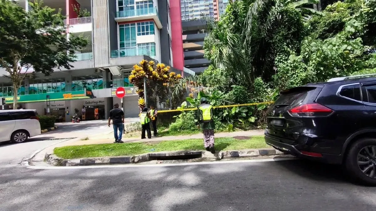 Warga asing ceroboh tanah buat kebun, MBPJ ambil tindakan penguatkuasaan