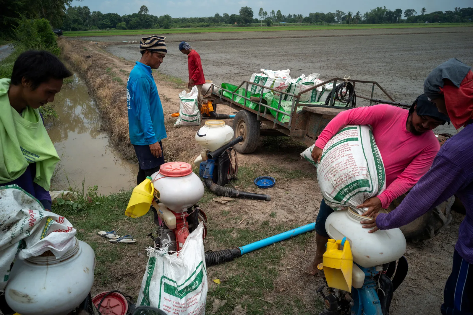 Thai farm debt crisis deepens in early test for Anutin's government