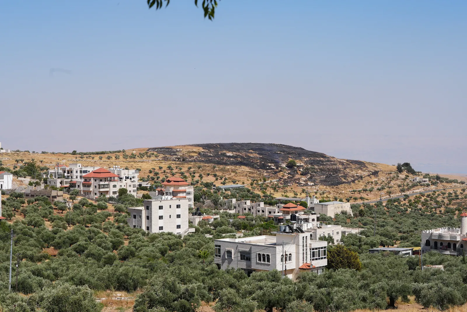 Israel marks US$338m to expand West Bank settlement, rights group says