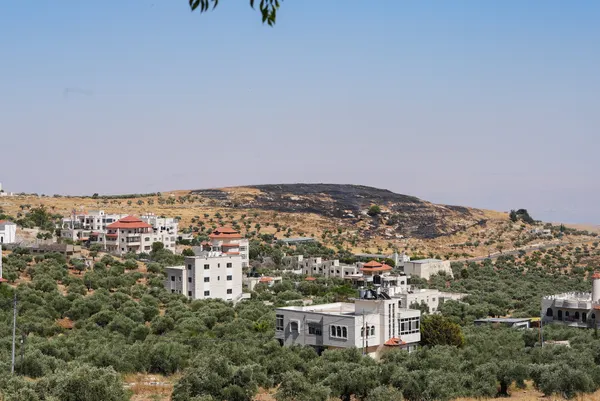 Israel marks US$338m to expand West Bank settlement, rights group says