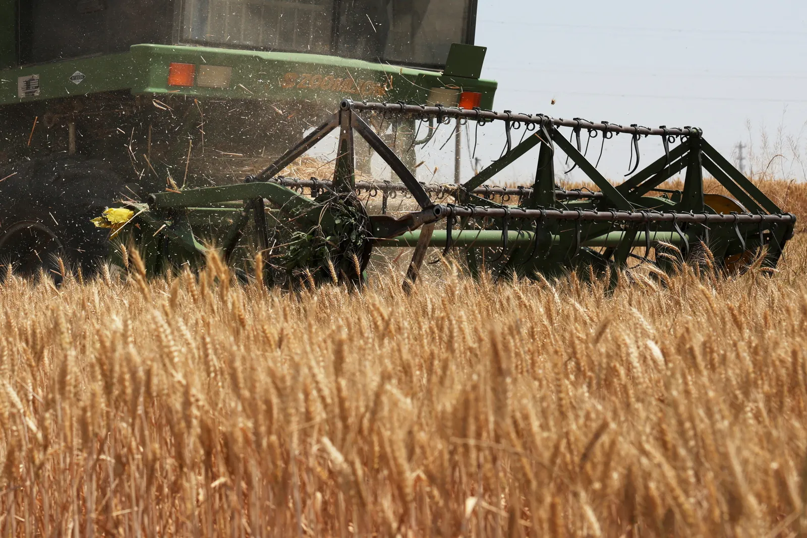 Ample world inventories may soften El Nino food supply shock