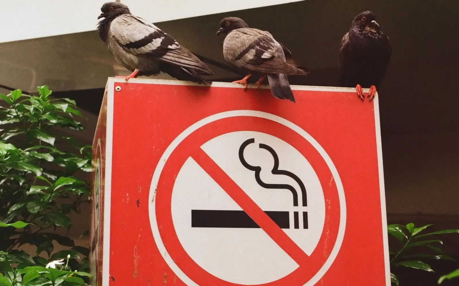 Selangor opens 54 probes into online vape sales, advertising
