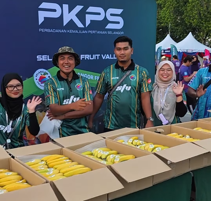 PKPS contributes over 2,000 SFV bananas for HAWANA 2026 Fun Walk