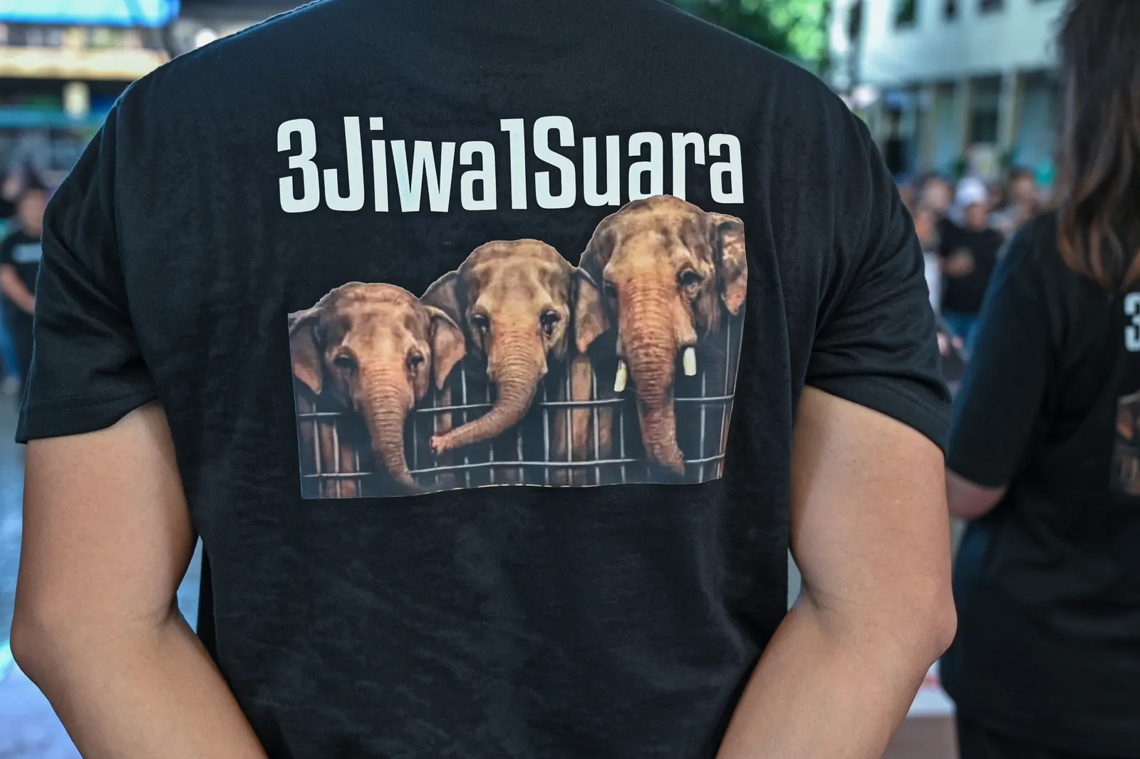 NRES vows full support for MACC’s elephant transfer investigation