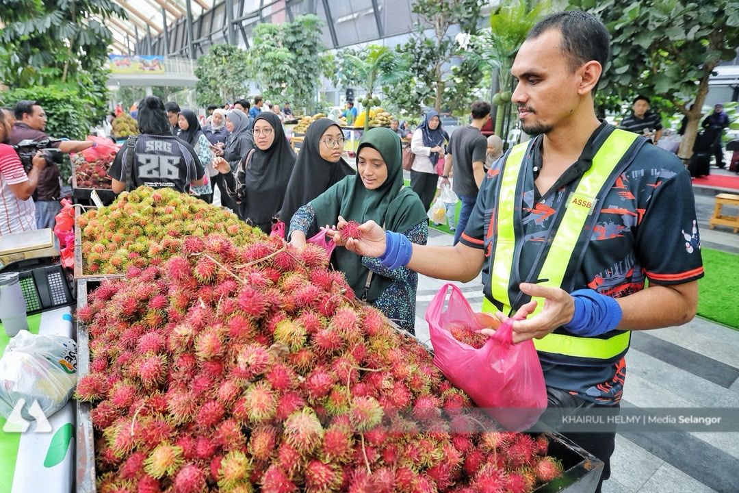 Eat more local fruit so Selangor imports less — Exco