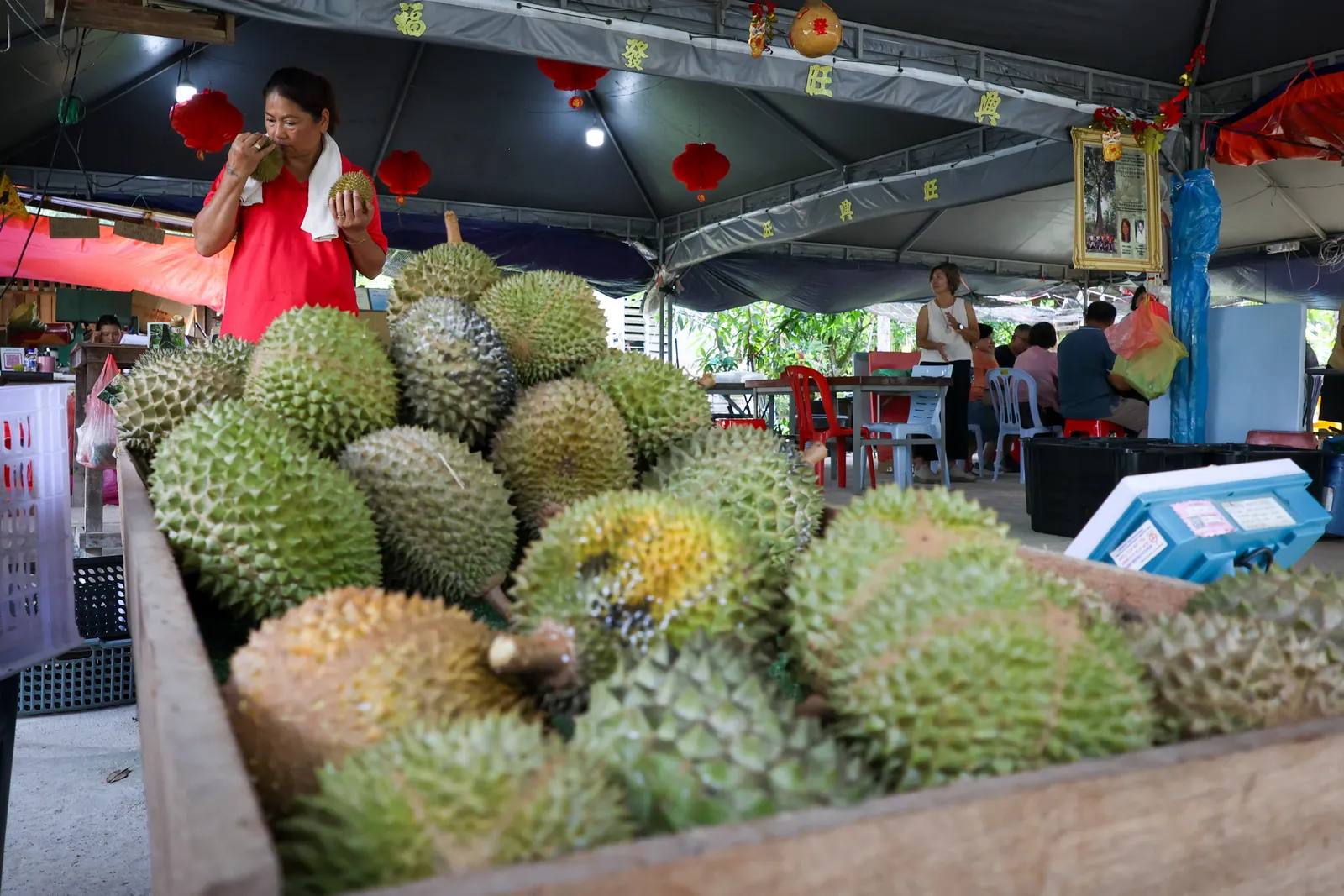 Durian trader forced to discard tonne of spoiled fruit