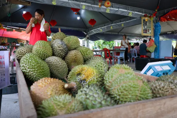 Durian trader forced to discard tonne of spoiled fruit