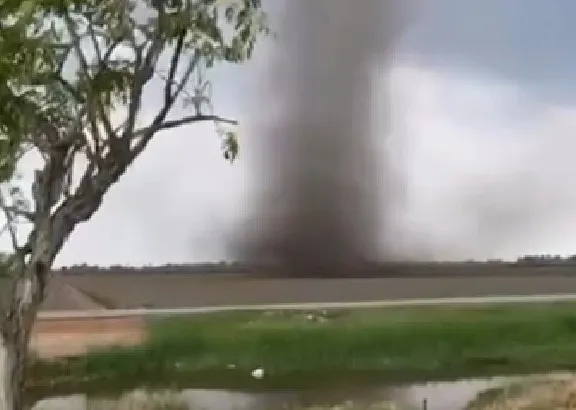 Whirlwind hits Sekinchan padi field, no damage reported