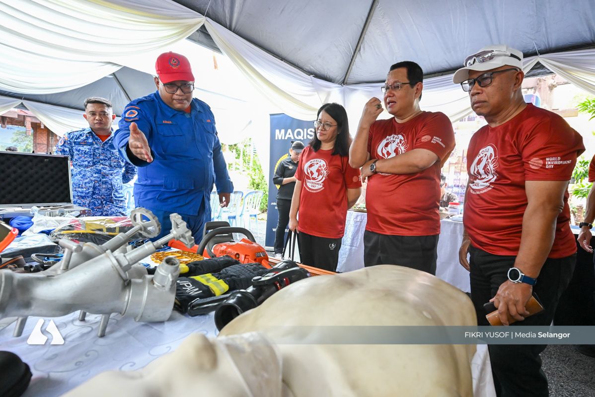 Intensify mangrove planting to bolster climate resilience