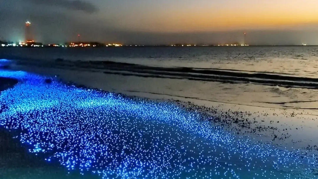 Fenomena cahaya biru tarik tumpuan pengunjung di Pantai Tembeling