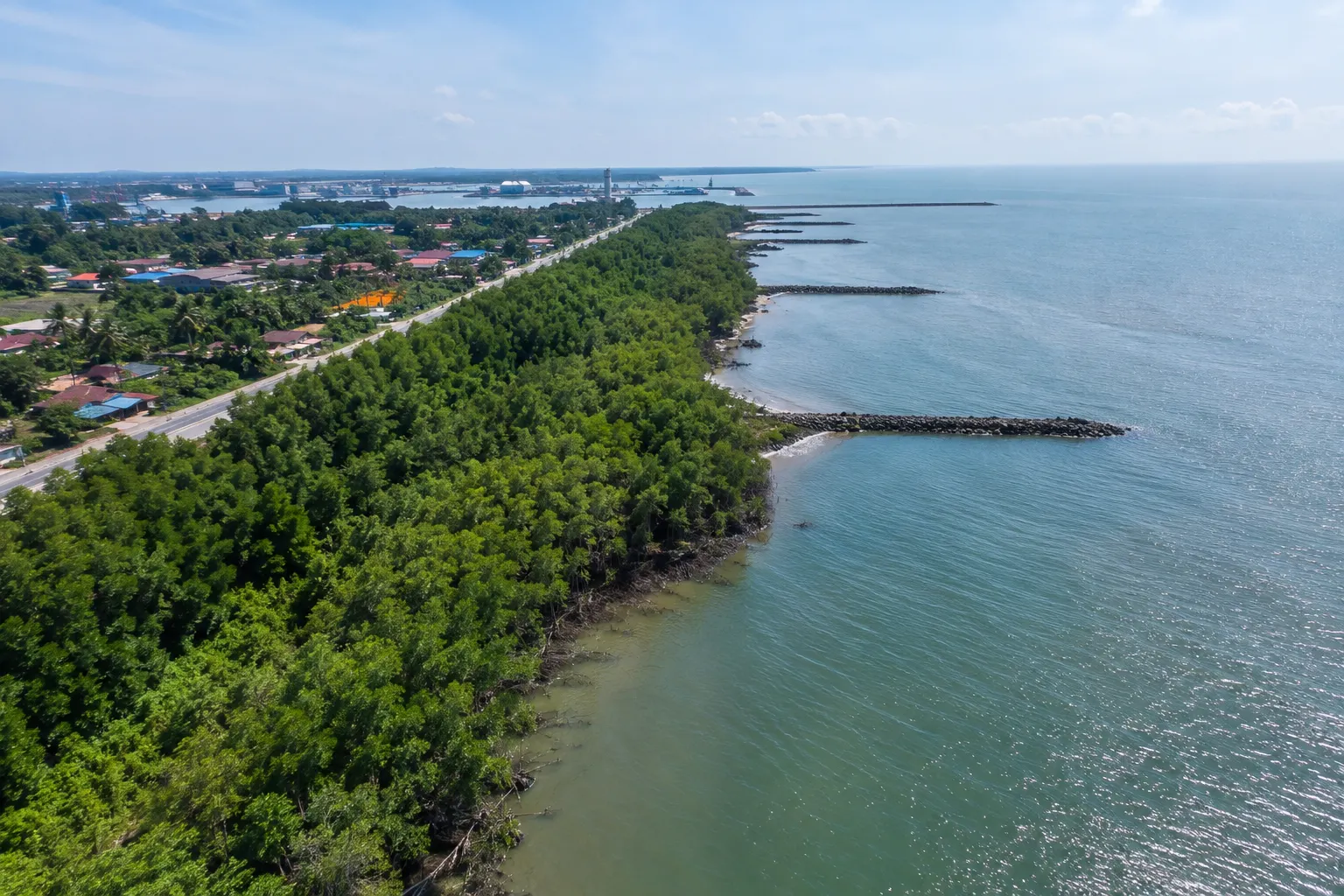 Selangor teroka ekonomi karbon biru pelihara pesisir pantai