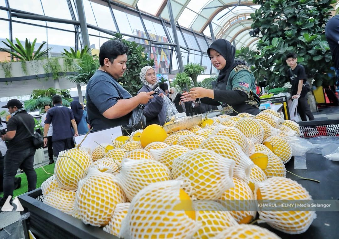 Eat more local fruit so Selangor imports less — Exco