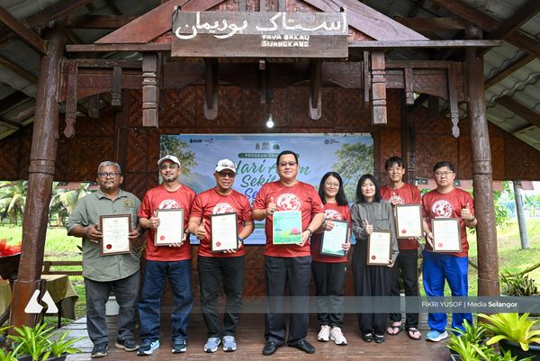 Intensify mangrove planting to bolster climate resilience