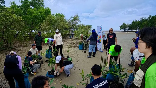 700 pokok bakau ditanam di Pantai Kelanang sempena sambutan sedunia