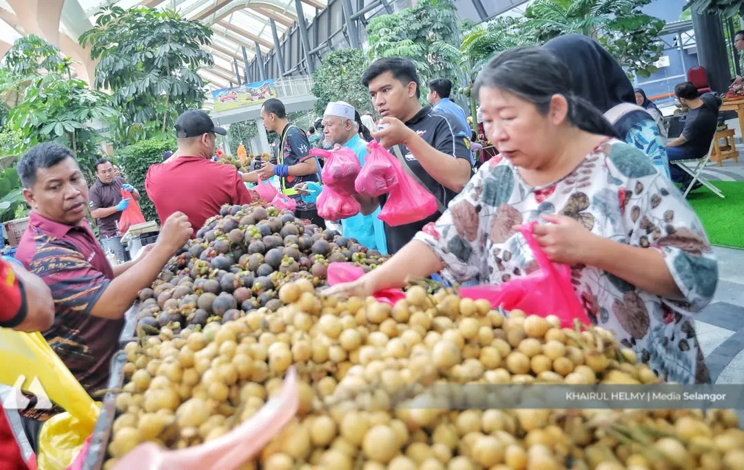 ‘Super El Nino hasn’t affected Selangor’s agriculture sector’