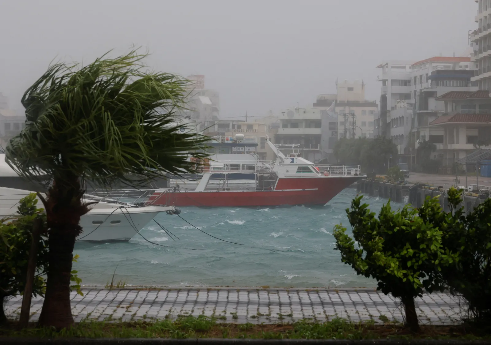 Typhoon Bavi: China evacuates 1.8 million people, Malaysia Airlines cancels flights