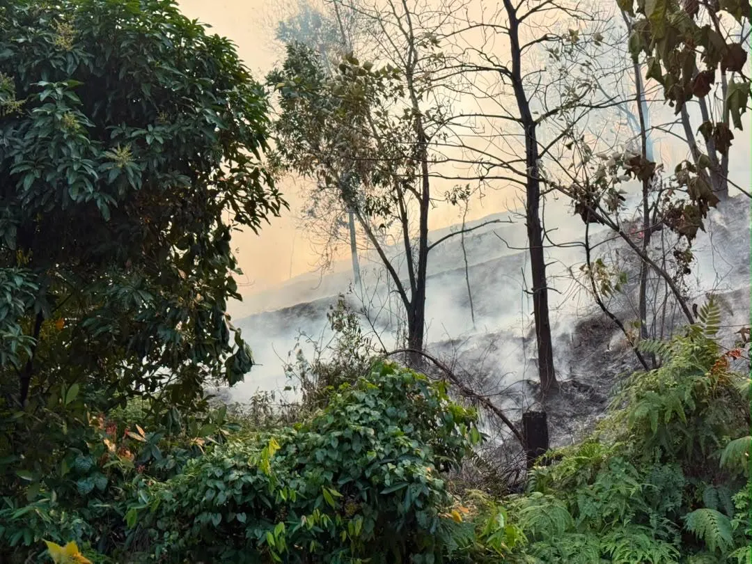 SK Puncak Alam 2 cancels afternoon session due to forest fire