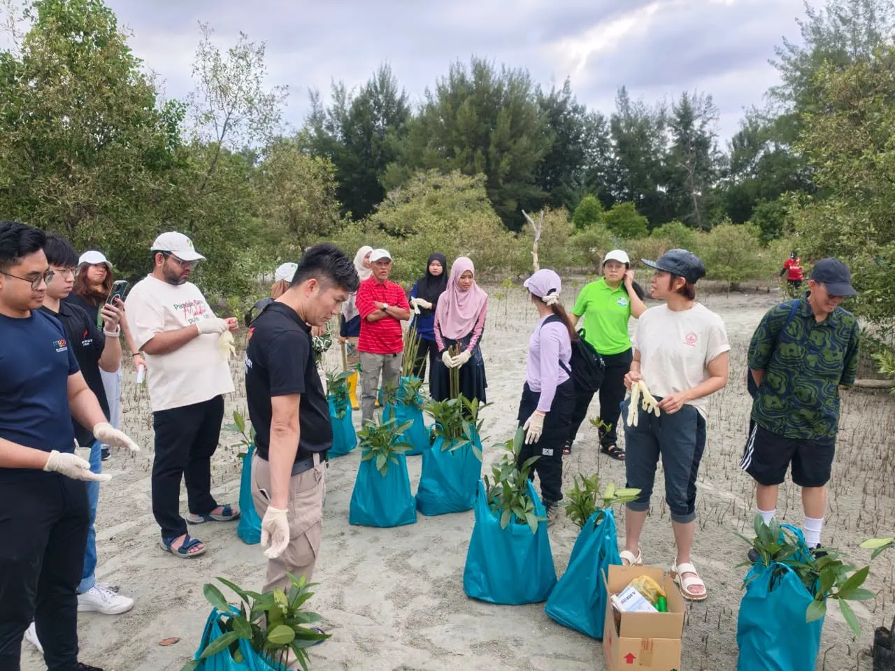 700 pokok bakau ditanam di Pantai Kelanang sempena sambutan sedunia