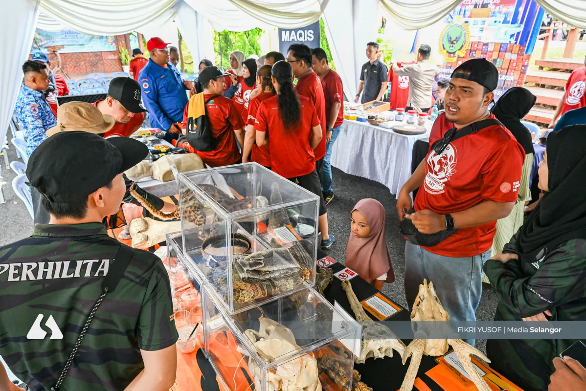 Penanaman bakau diperkasa sebagai benteng perubahan iklim