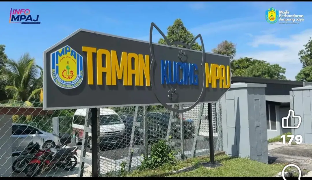 Taman Kucing MPAJ bantu tangani isu kucing terbiar di kawasan awam