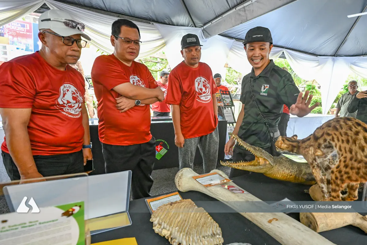 Intensify mangrove planting to bolster climate resilience