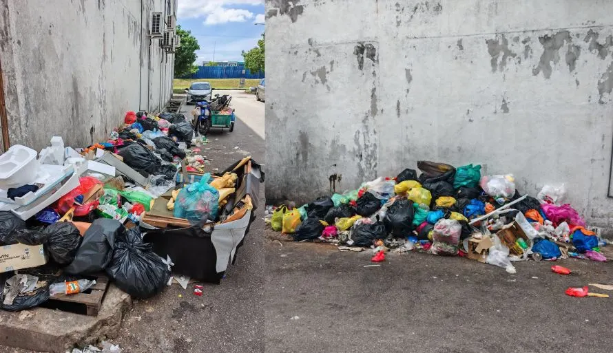 Pekerja warga asing dalang pembuangan sampah haram di Jalan Kota Raja 27/F