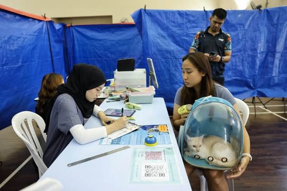 MBSA offers subsidised neutering of cats and dogs with SPCA