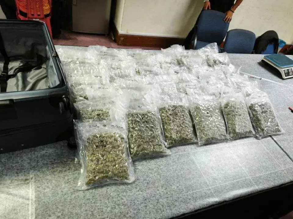 AKPS gagalkan cubaan seludup bunga ganja bernilai RM1.69 juta di KLIA