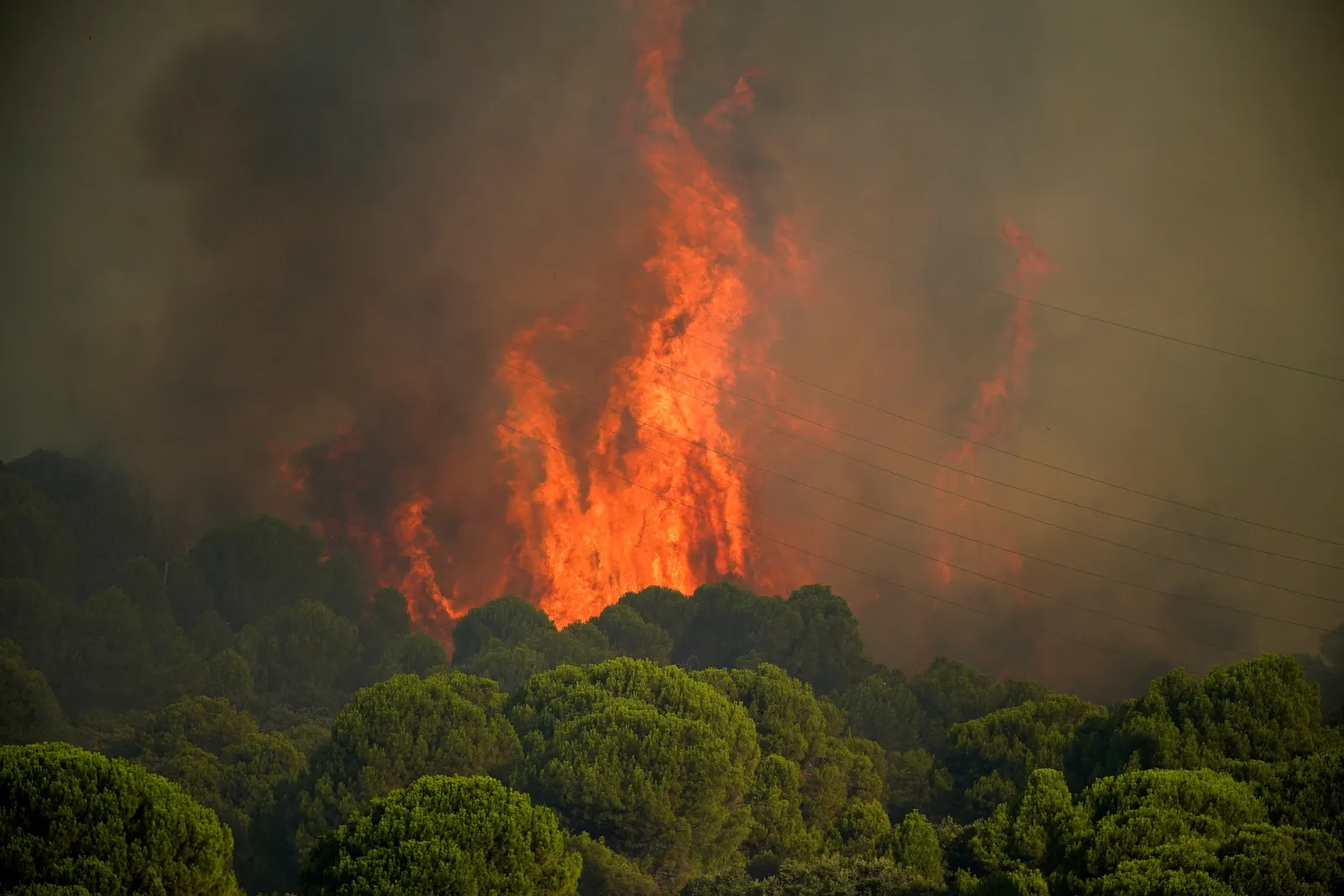 Wildfires threaten Bordeaux as France, Spain battle blazes