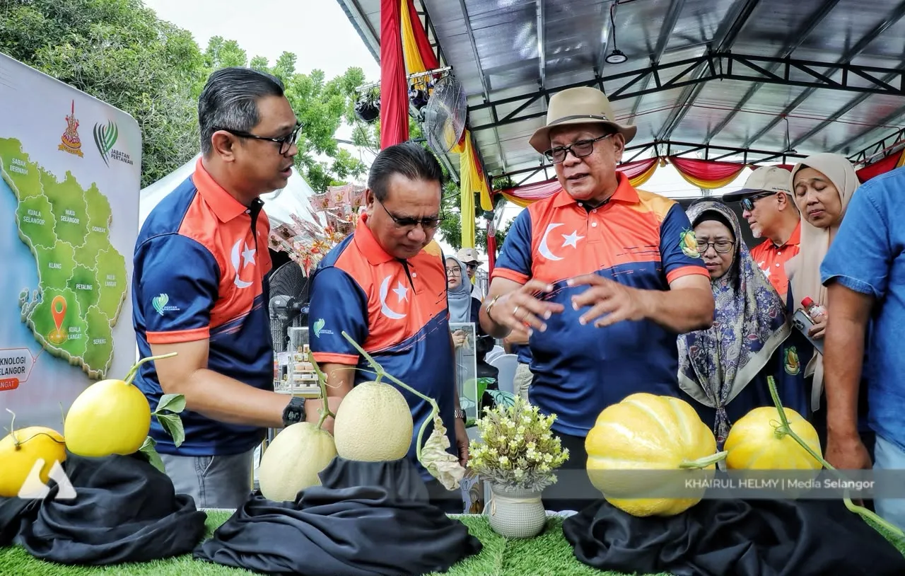 Selangor miliki pusat R&D melon, sasar jadi pengeluar terbesar negara
