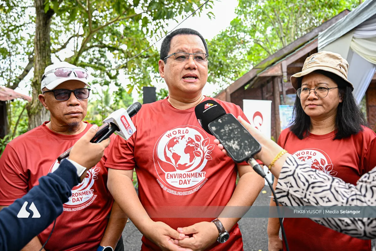 Intensify mangrove planting to bolster climate resilience